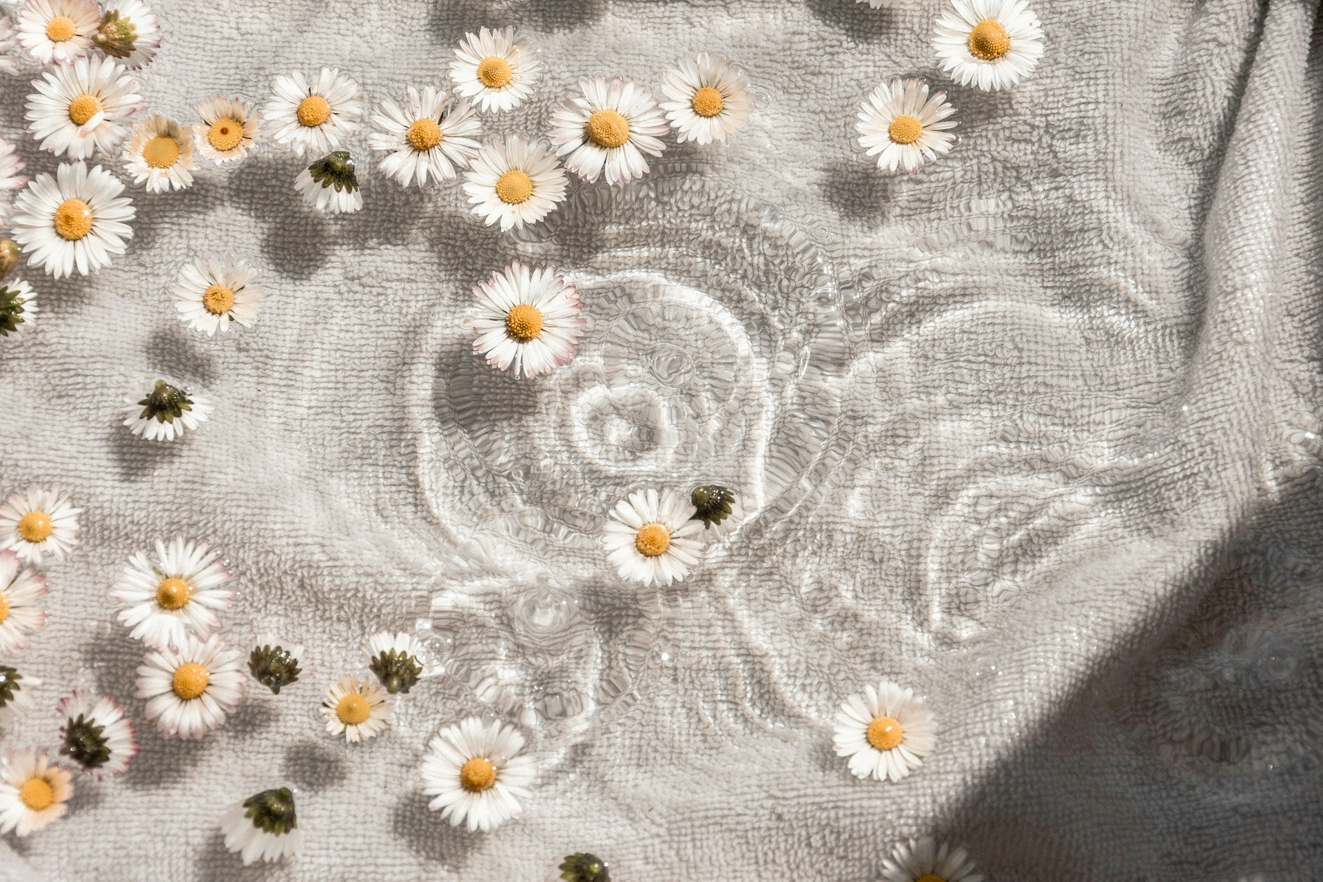 Luxury Wellness Retreats in India: A Journey to Rejuvenate Your Mind and Body