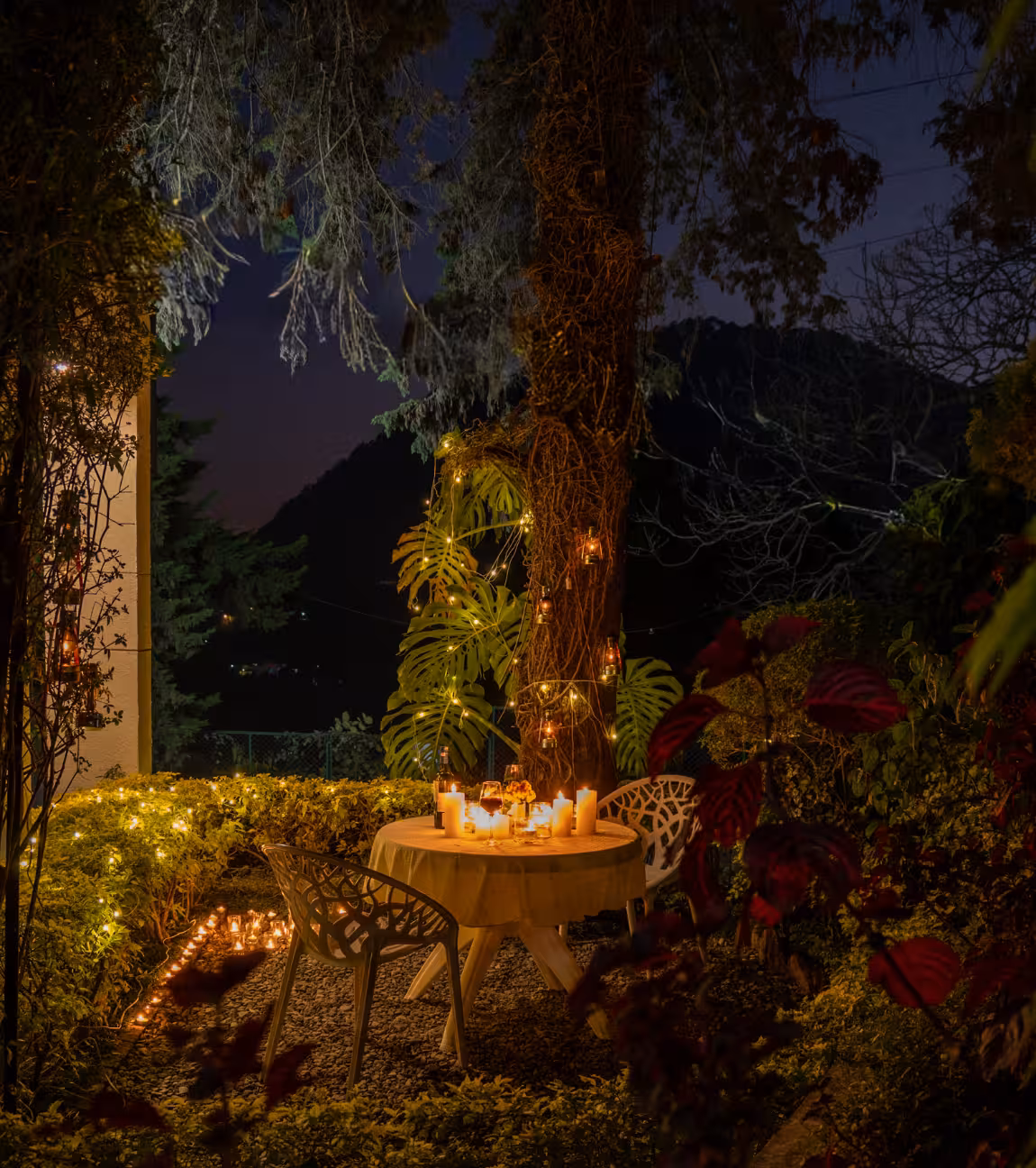 Starlit Dinner