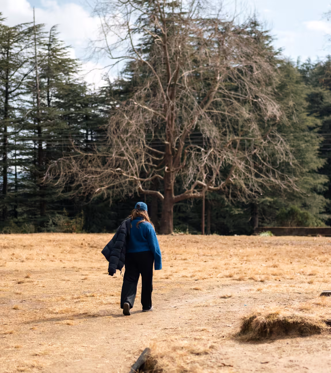 The Potter Hill Getaway
