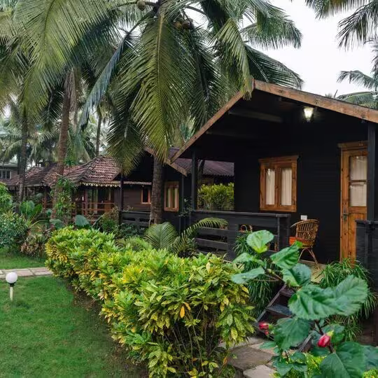 Ivy, Morjim - AM Hotel Kollection